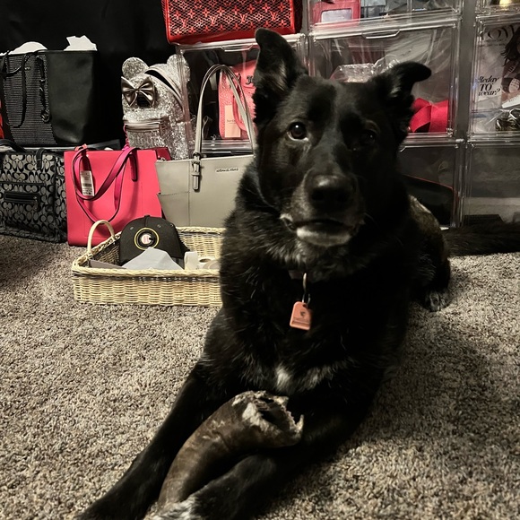 Stylish Ankle & Cropped Pants in Black, Blue, Brown, and Tan. 4 Retro Capri’s - Picture 15 of 16